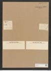 Denticula crassula Naeg. (de-Toni-Nr.: Genus 49, Species 2196) Zeichnungen Sammlung Grunow Nr. 4593 (NHMW-BOT-W0372611)